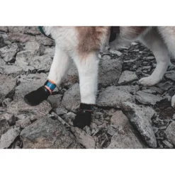 Non-stop Dogwear Protector Bootie 4pk Black