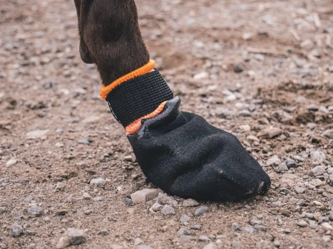 Non-stop Dogwear Protector Bootie 4pk Black