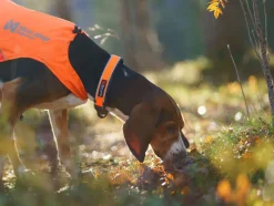 Non-stop Dogwear Protector Collar Orange