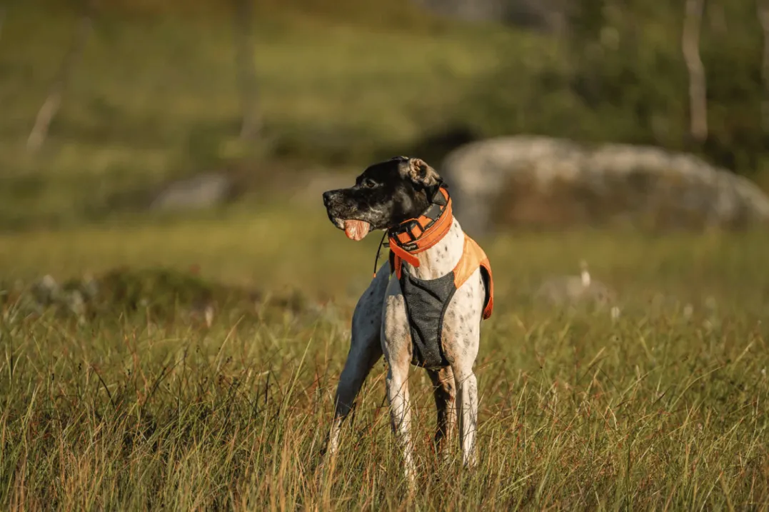 Non-stop Dogwear Protector Vest 2.0 Orange