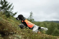 Non-stop Dogwear Protector Vest 2.0 Orange