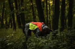 Non-stop Dogwear Protector Vest 2.0 Orange
