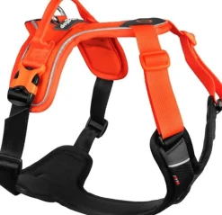 Non-stop Dogwear Ramble Harness Orange