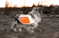 Non-stop Dogwear Reflection Blanket Orange