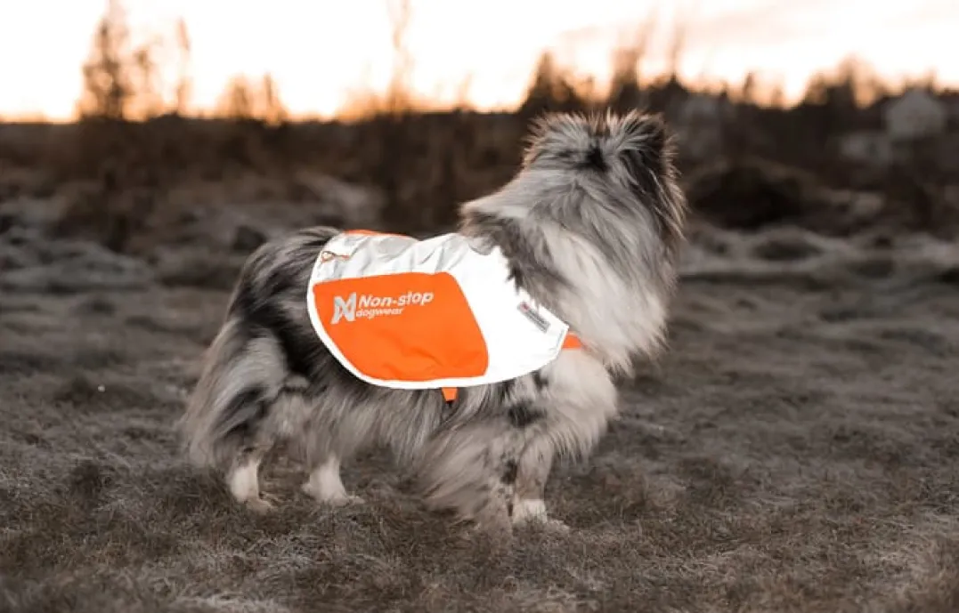 Non-stop Dogwear Reflection Blanket Orange