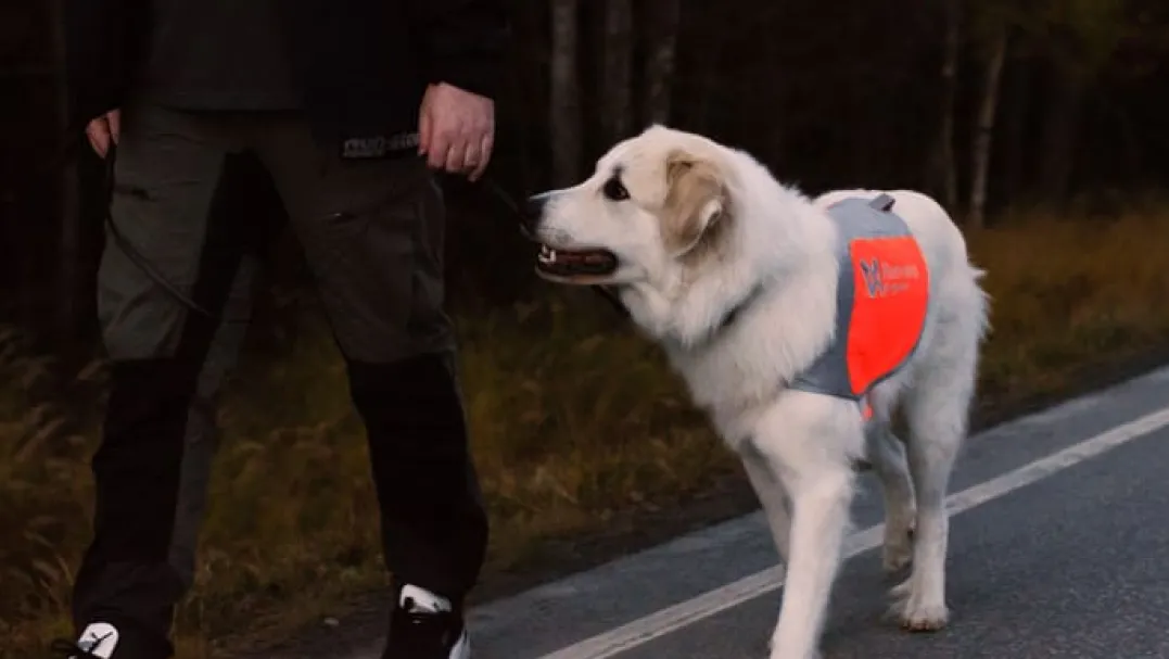 Non-stop Dogwear Reflection Blanket Orange