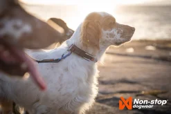 Non-stop Dogwear Roam Collar Black
