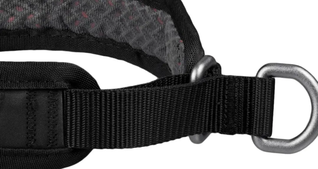 Non-stop Dogwear Rock Collar 3.0 Orange