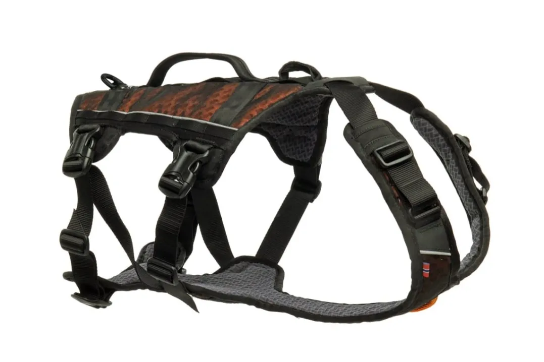 Non-stop Dogwear Rock Harness Long Black/Orange L