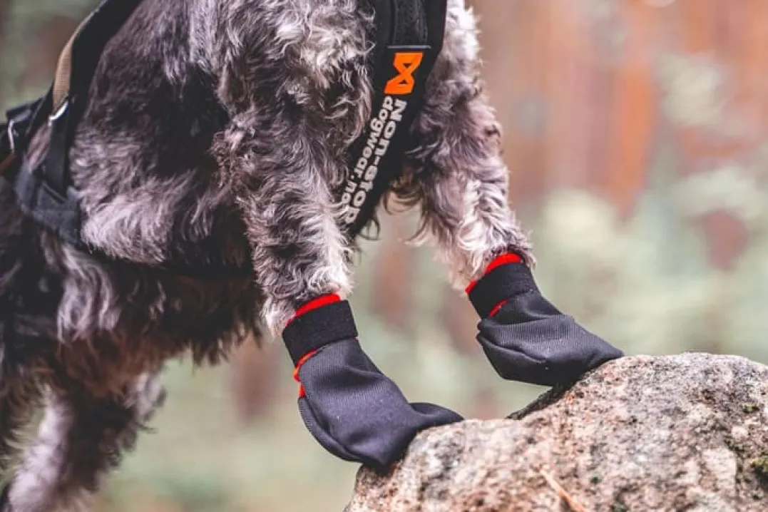 Non-stop Dogwear Solid Booties Black