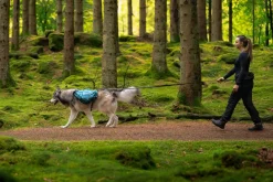 Non-stop Dogwear Trail Quest Dog Backpack Blue