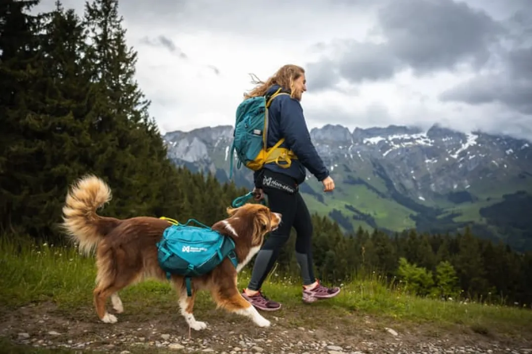 Non-stop Dogwear Trail Quest Dog Backpack Blue