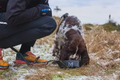 Non-stop Dogwear Trekking Bowl