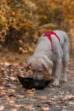 Non-stop Dogwear Trekking Bowl M Black