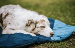 Non-stop Dogwear Trekking Dog Bed Dark Teal