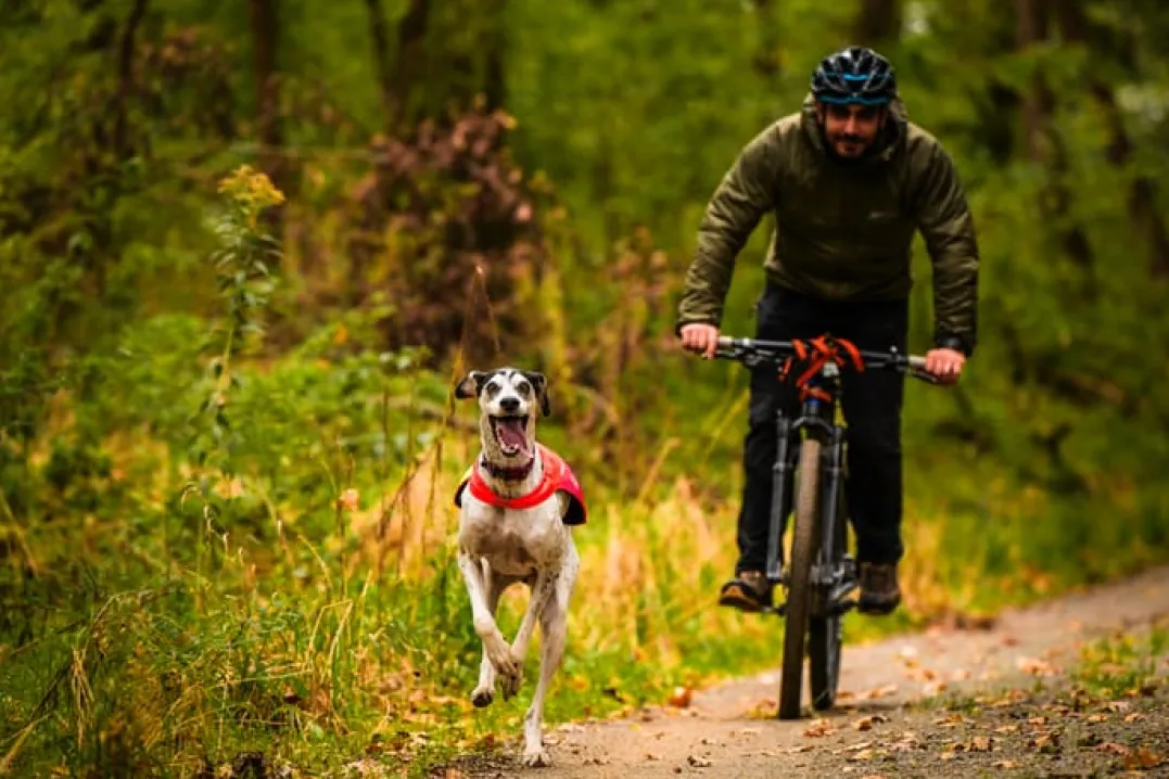 Non-stoppolar Trail Isolator Jacket 2.0 Green