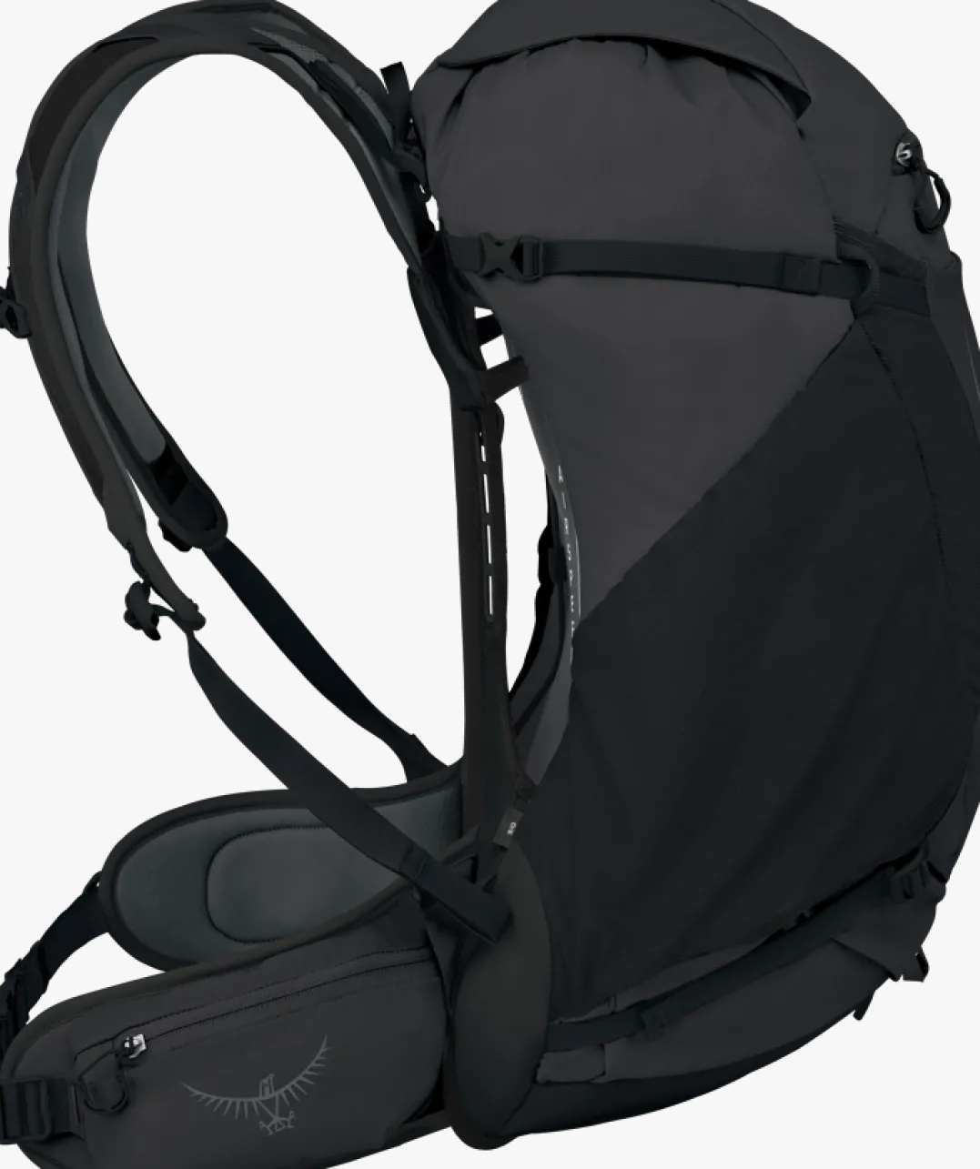 Osprey Hikelite 32 Raven Black