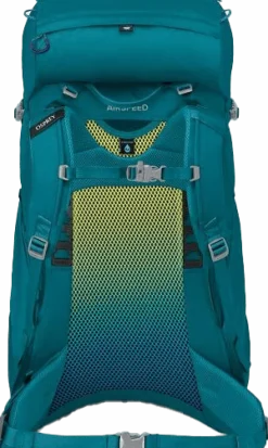 Osprey Kids' Ace 38 Blue Spikemoss/Deep Peyto