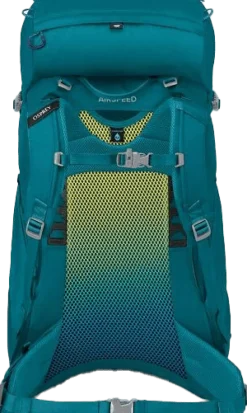 Osprey Kids' Ace 38 Blue Spikemoss/Deep Peyto