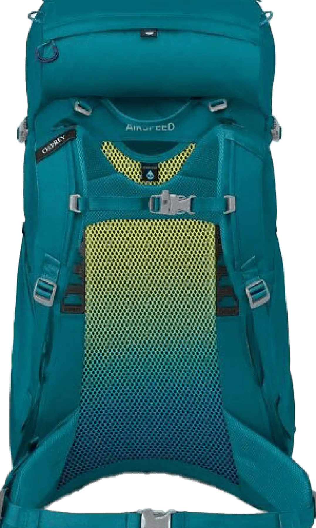 Osprey Kids' Ace 38 Blue Spikemoss/Deep Peyto