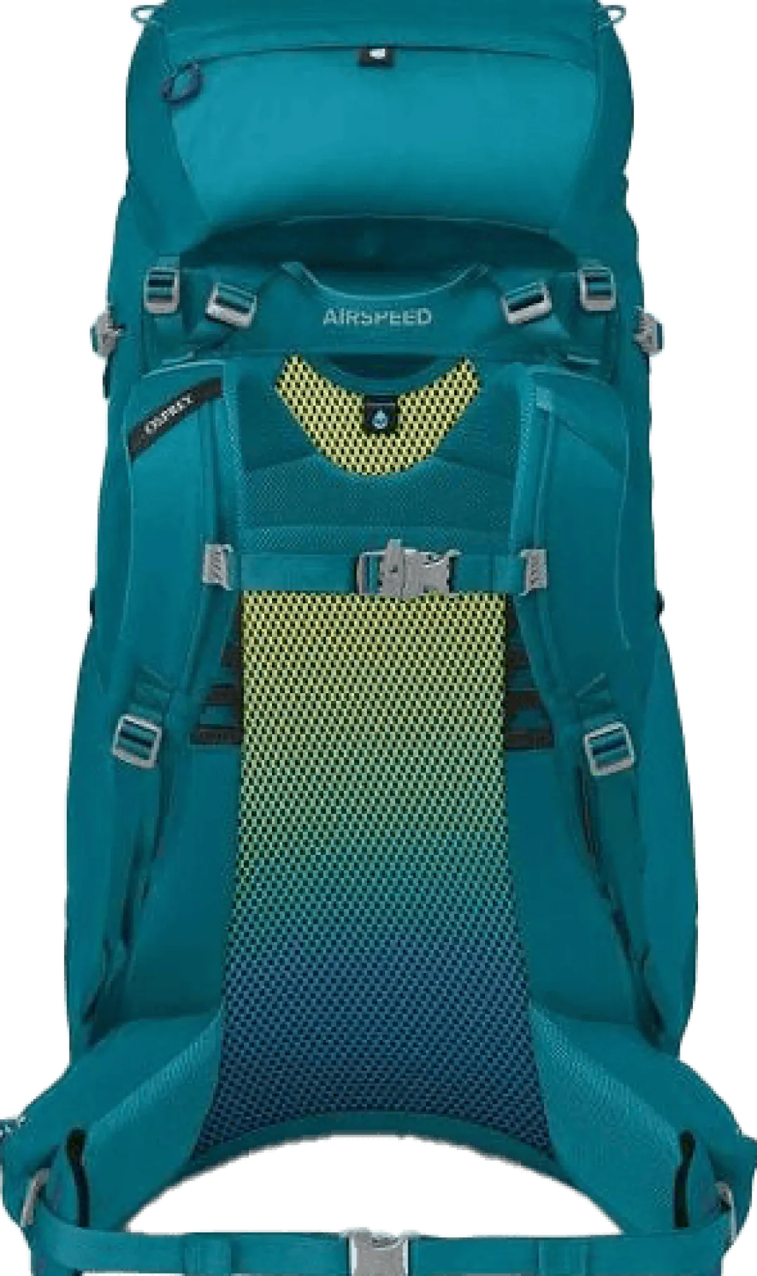 Osprey Kids' Ace 50 Blue Spikemoss/Deep Peyto