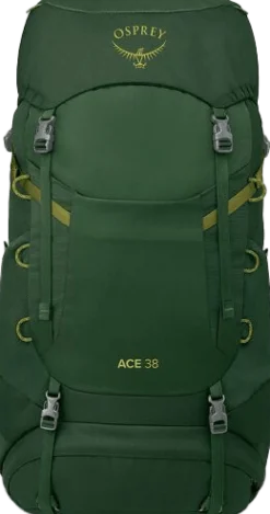 Osprey Kids' Ace 38 Green Canopy/Matcha Green
