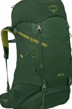 Osprey Kids' Ace 38 Green Canopy/Matcha Green