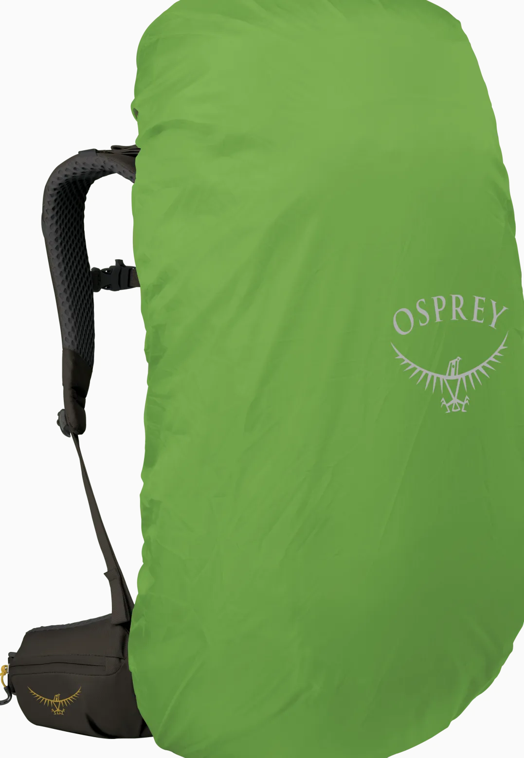 Osprey Men's Kestrel LT 65 Moss Green