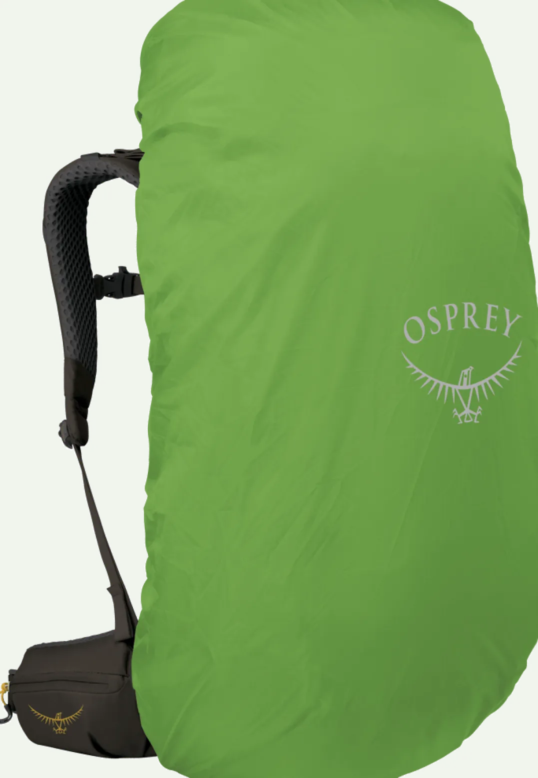 Osprey Men's Kestrel LT 65 Moss Green