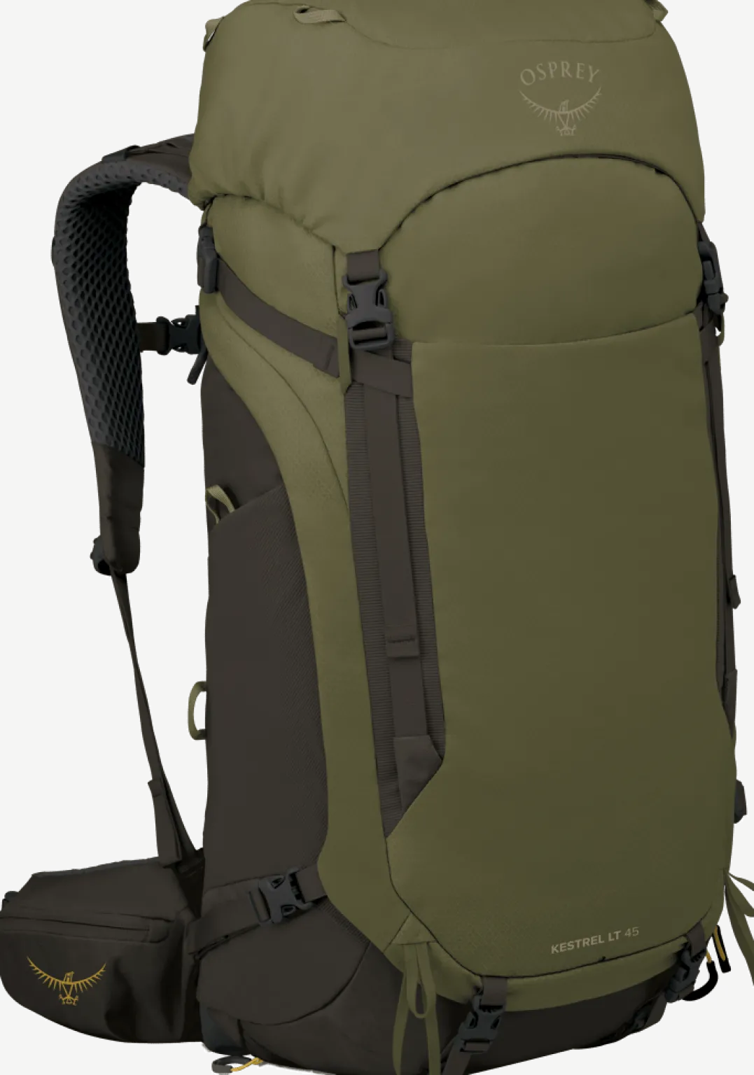 Osprey Men's Kestrel LT 45 Moss Green