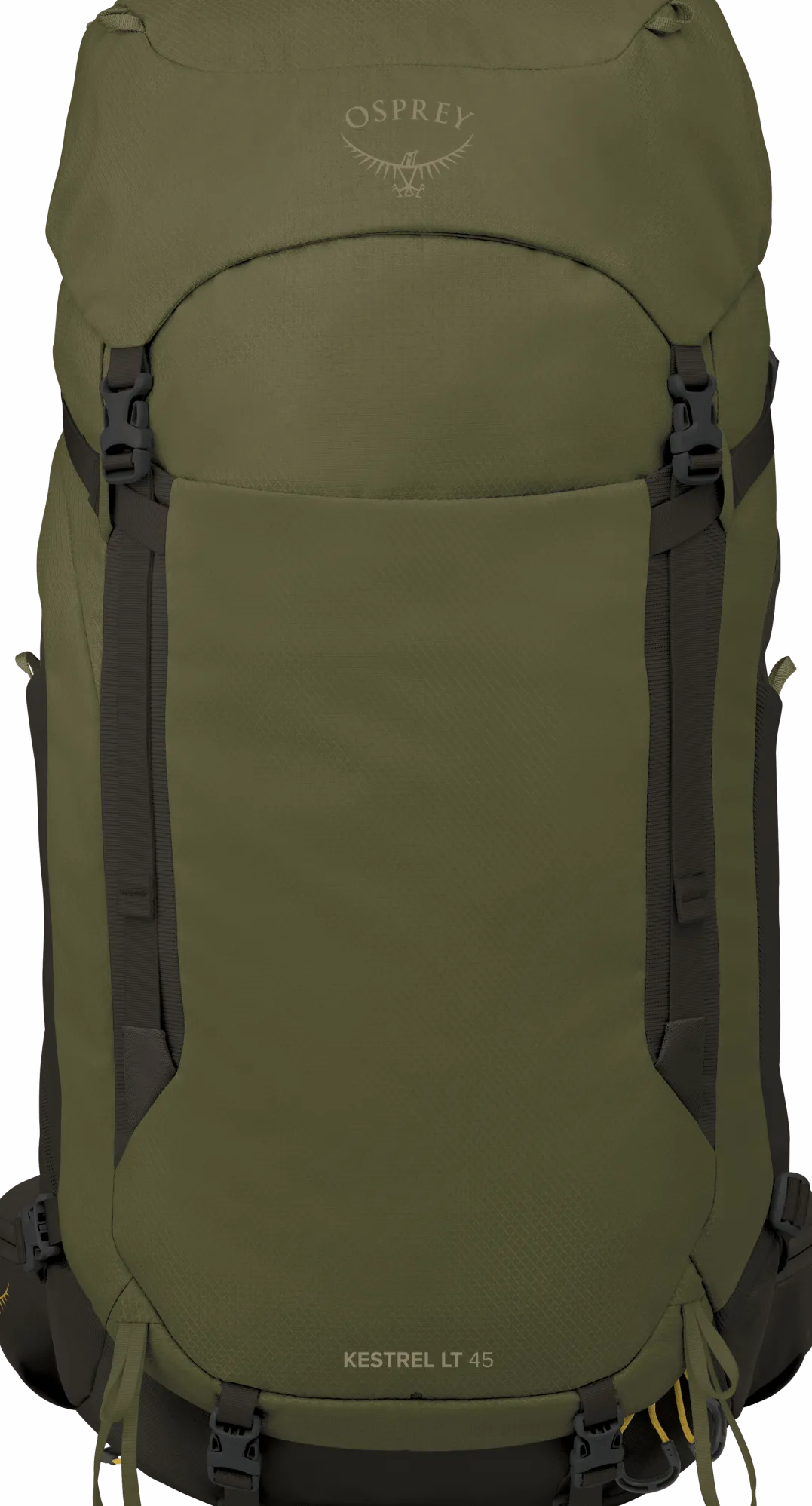 Osprey Men's Kestrel LT 45 Moss Green