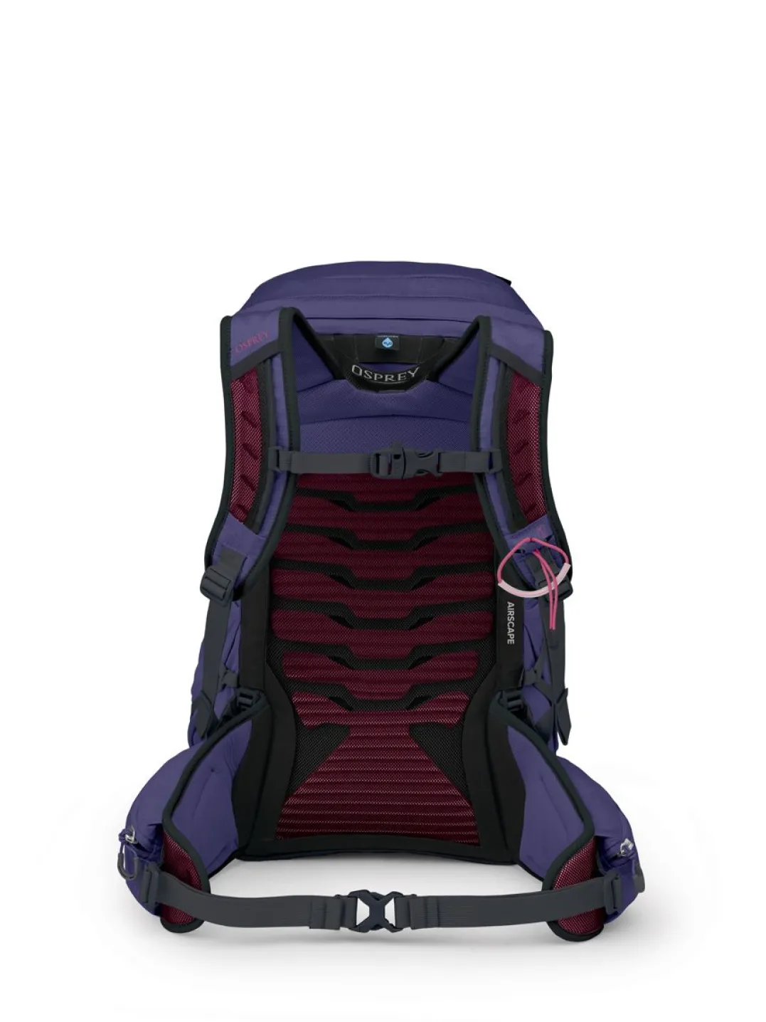 Osprey Tempest 26 Deep Fig/hotspot Pink