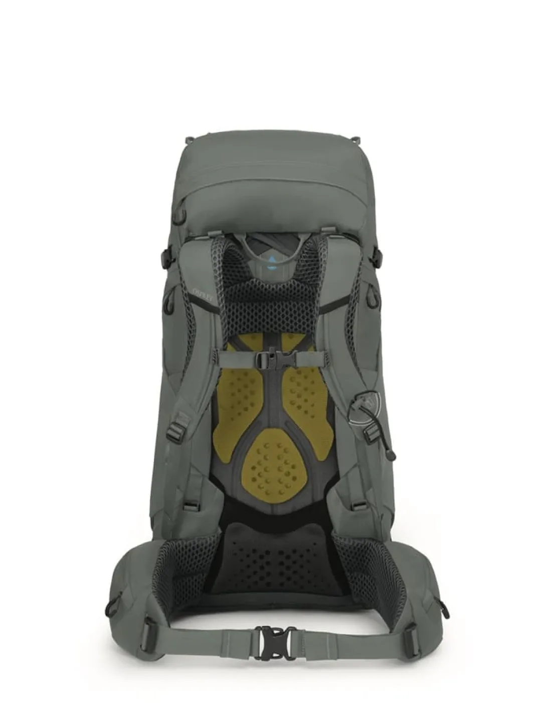 Osprey Women's Kyte 48 Rocky Brook Green