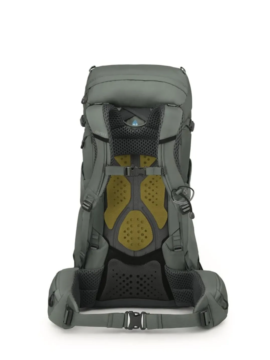 Osprey Women's Kyte 38 Rocky Brook Green