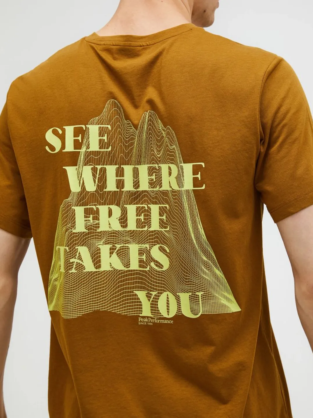 Peak Performance M Explore Graphic Tee Earthy Summit