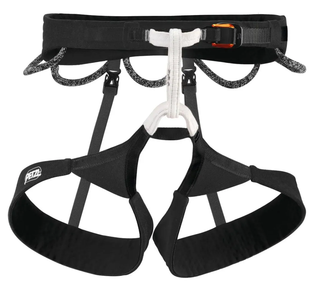 Petzl Hirundos Black