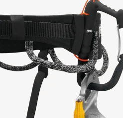 Petzl Hirundos Black