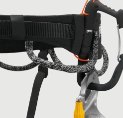 Petzl Hirundos Black