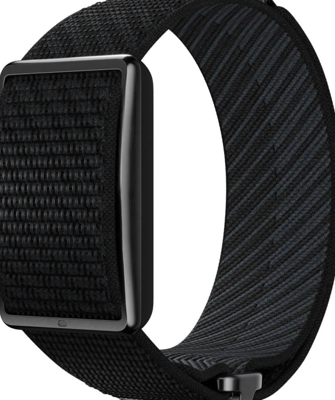 Polar Loop Black