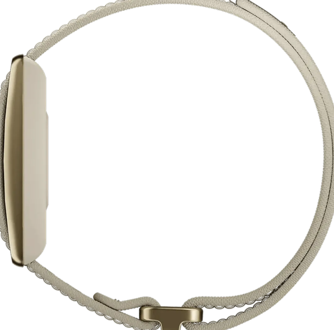 Polar Loop Gold/sand