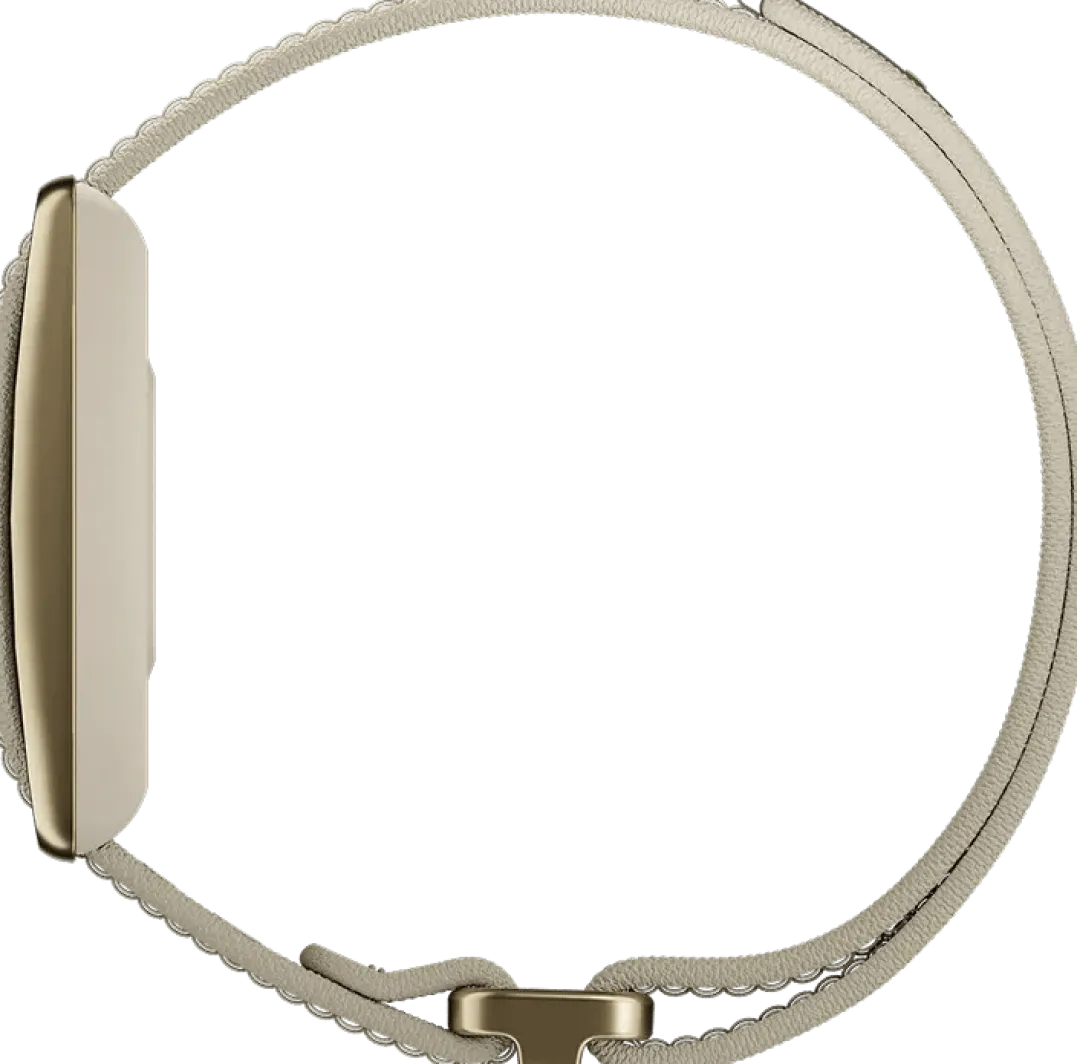 Polar Loop Gold/sand