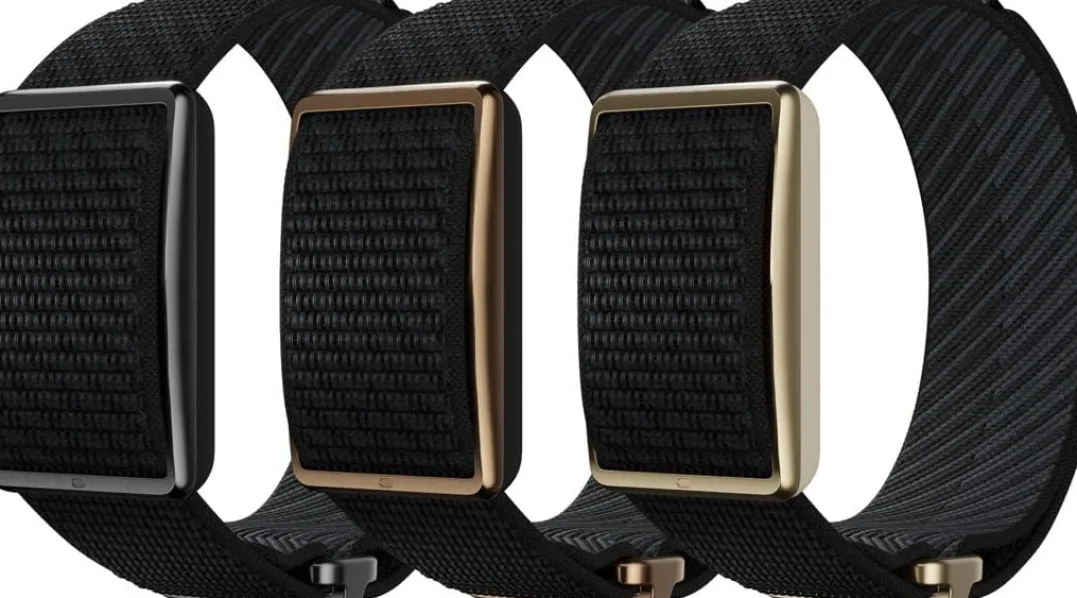 Polar Wb Loop Black