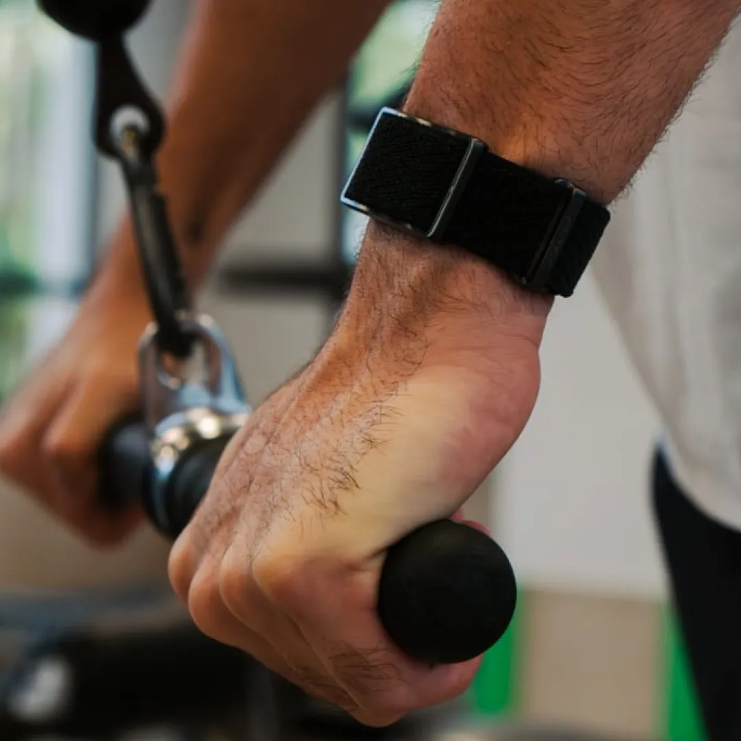 Polar Wb Loop Black