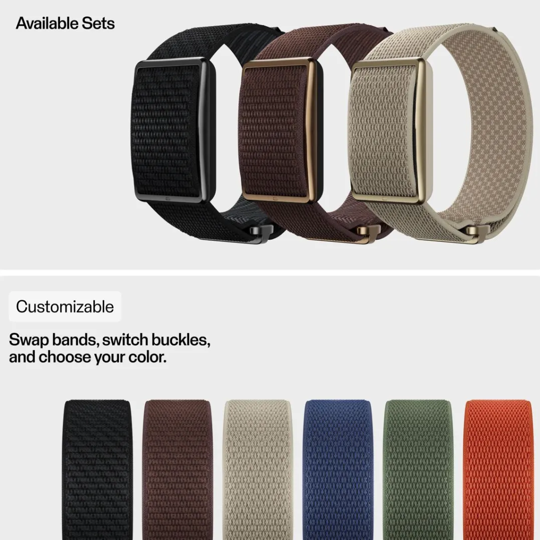 Polar Wb Loop Brown
