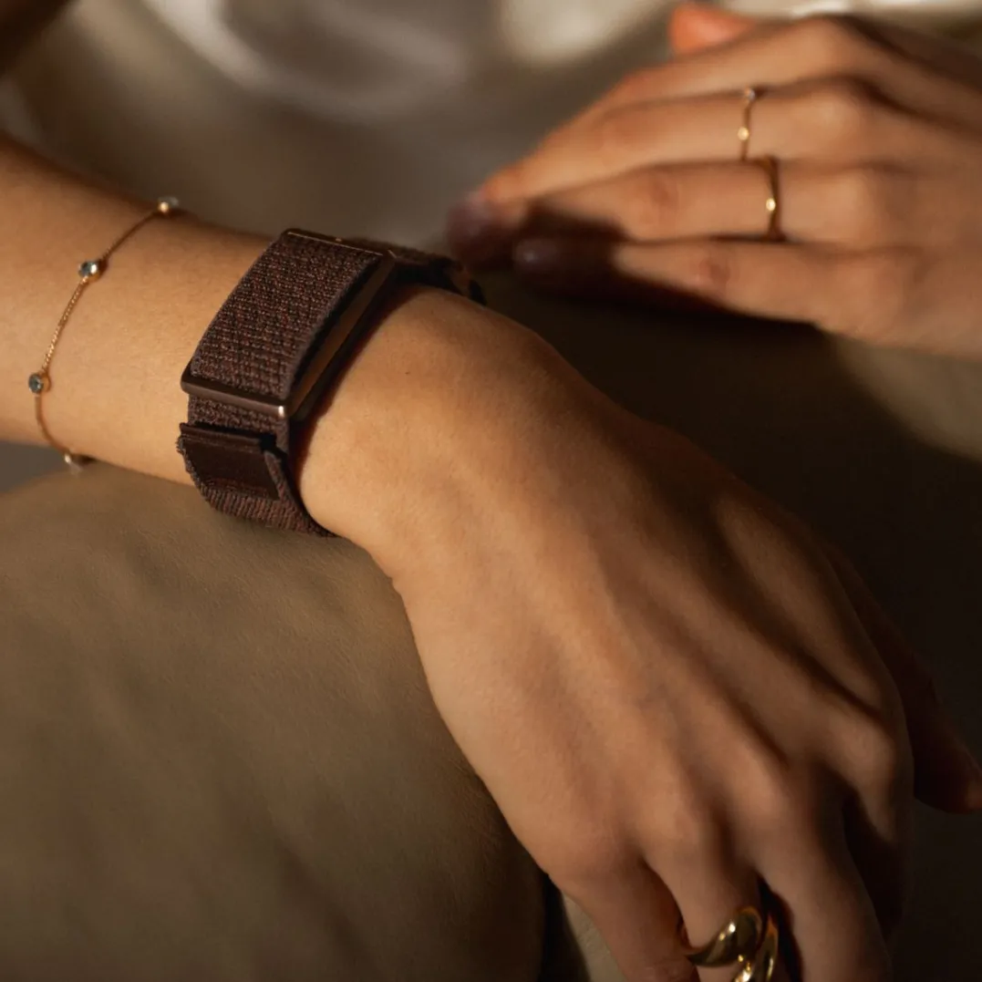 Polar Wb Loop Brown