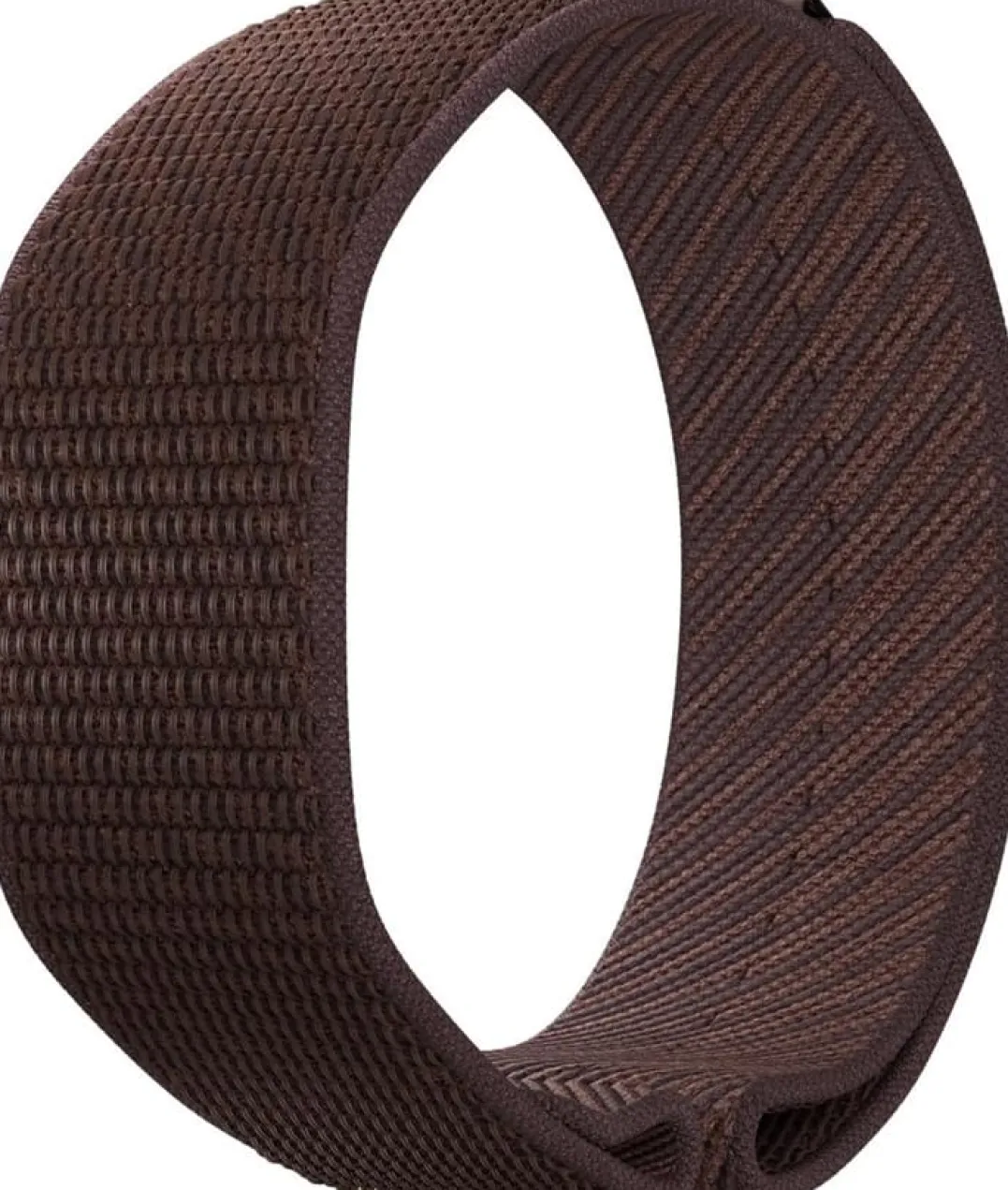 Polar Wb Loop Brown