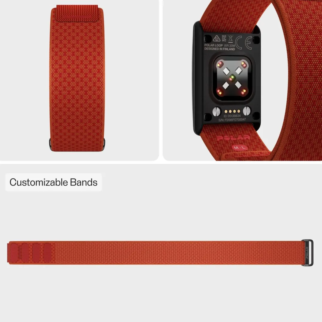 Polar Wb Loop Orange
