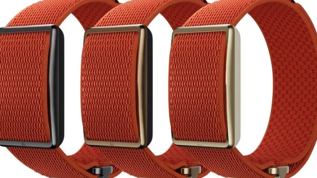Polar Wb Loop Orange