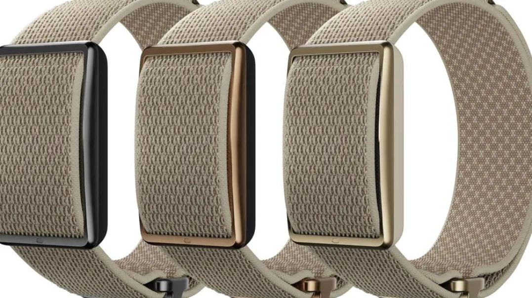 Polar Wb Loop Sand