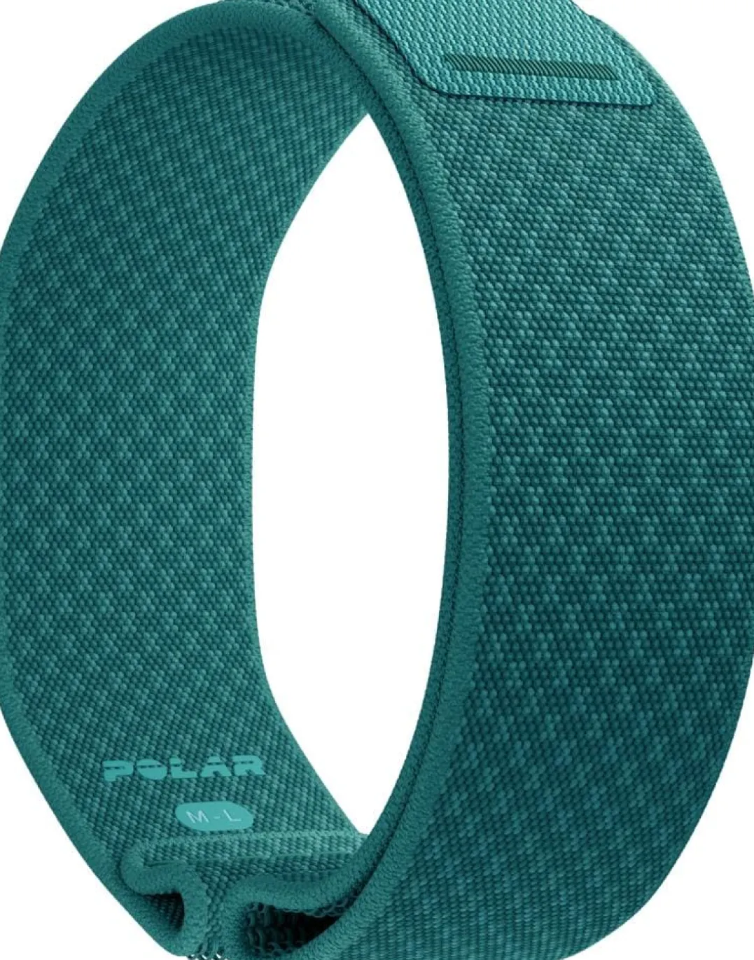 Polar Wb Loop Teal